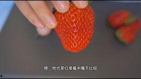 草莓一百在线视频观看,揭秘热门在线视频背后的魅力与故事